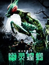 幽灵螳螂 幽灵螳螂