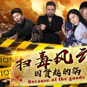 扫毒风云之因货起的祸 扫毒风云之因货起的祸